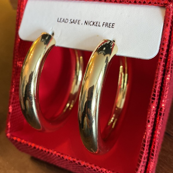 House of Harlow Gold Plated Hoops - Picture 4 of 5